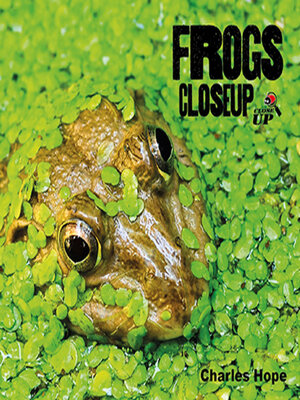 cover image of Frogs CloseUp